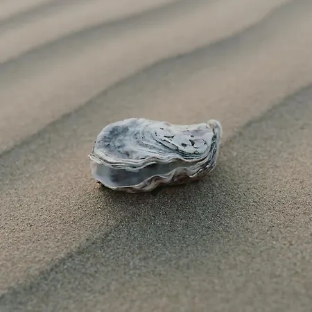 Le Tiny Beach, Impasse De L'horizon, * 阿内勒